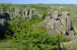 Просмотров: 738
