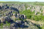 Просмотров: 739