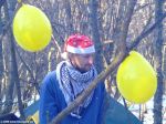 31 декабря 2008