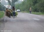 Осенняя Украинская Эльба 2007 г.