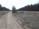 Дорога через лес