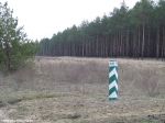 Лес ранней весной