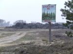 Берегите лес от пожара!