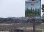 Берегите лес от пожара! Не уберегли