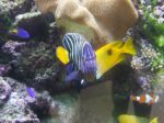DSCF5930