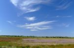 Имя файла=DSCF5940~0.JPG
Размер файла=89КБ
Размеры=1024x682
Дата=Сент 17, 2010 Кинбурн