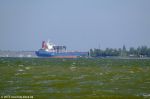 Имя файла=DSCF6090.JPG
Размер файла=87КБ
Размеры=1024x682
Дата=Сент 17, 2010 Кинбурнская коса
