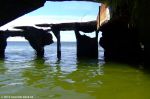 Кинбурнская коса