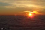 Имя файла=DSCF6701.JPG
Размер файла=60КБ
Размеры=800x533
Дата=Апр 07, 2007 Димерджи, Крым