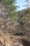 Тропинка к Большому каньону Крыма
