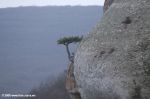 Пещерный город Эски-Кермен