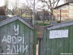 Во дворе злые поросята